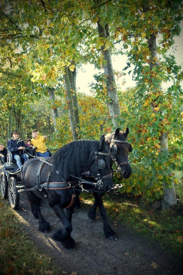 De Swaenhoeve Zoersel Esterno foto