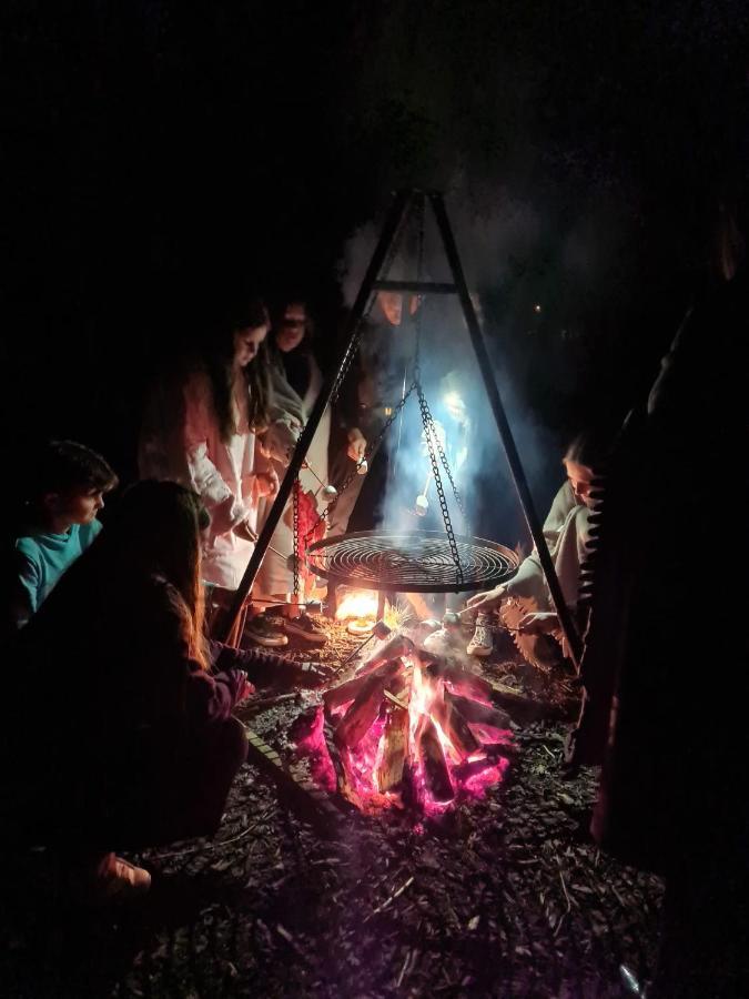 De Swaenhoeve Zoersel Esterno foto